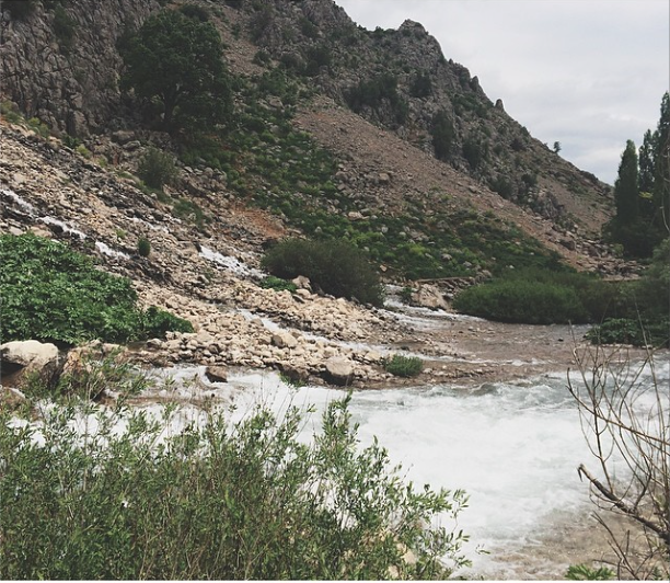dersim 1