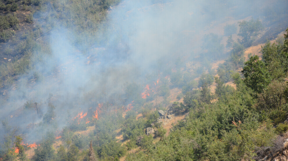 Skovbrande fortsætter i fire byer i Kurdistan