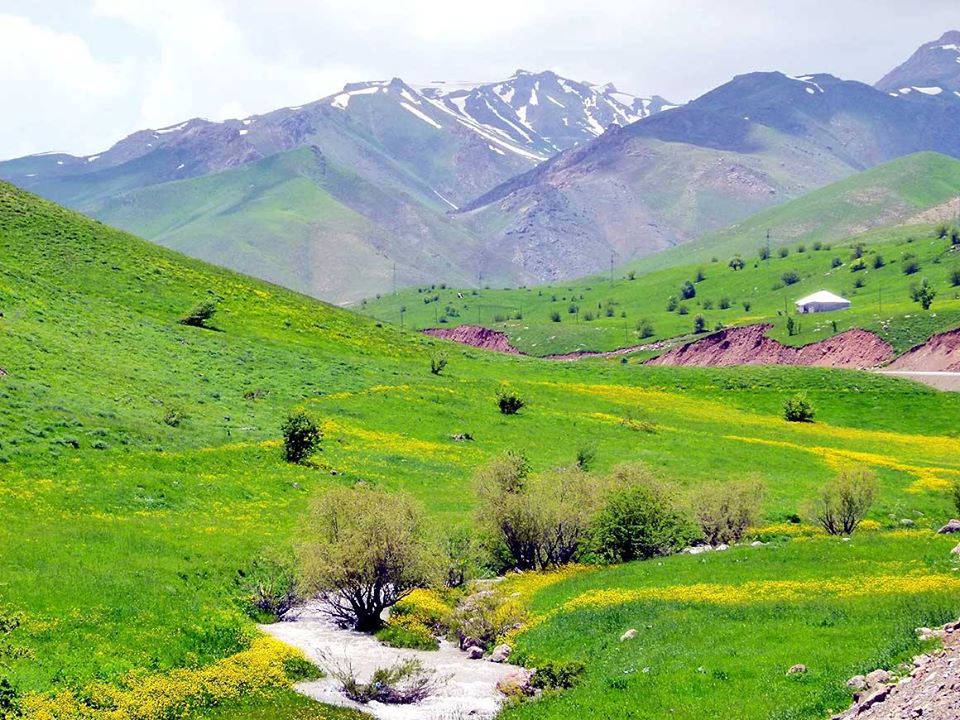 Tyrkiet og Iran ødelægger naturen i Kurdistan