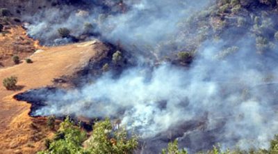 HDP: Skovbrande ødelægger livet i Dersim