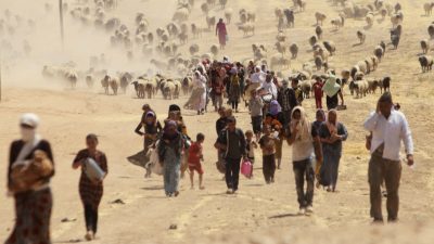 Shingal, for fem år siden