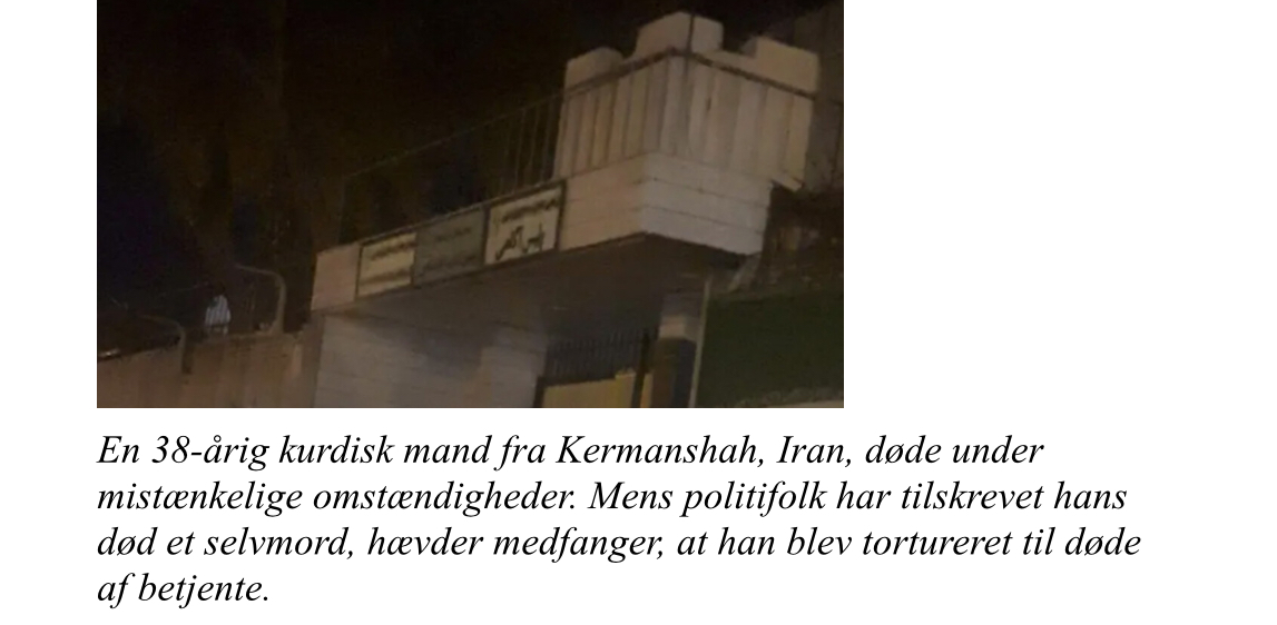 Kurdistans Menneskerettighedsnetværk (KHRN): Kurdisk fange døde i politiets varetægt på grund af torturanklager